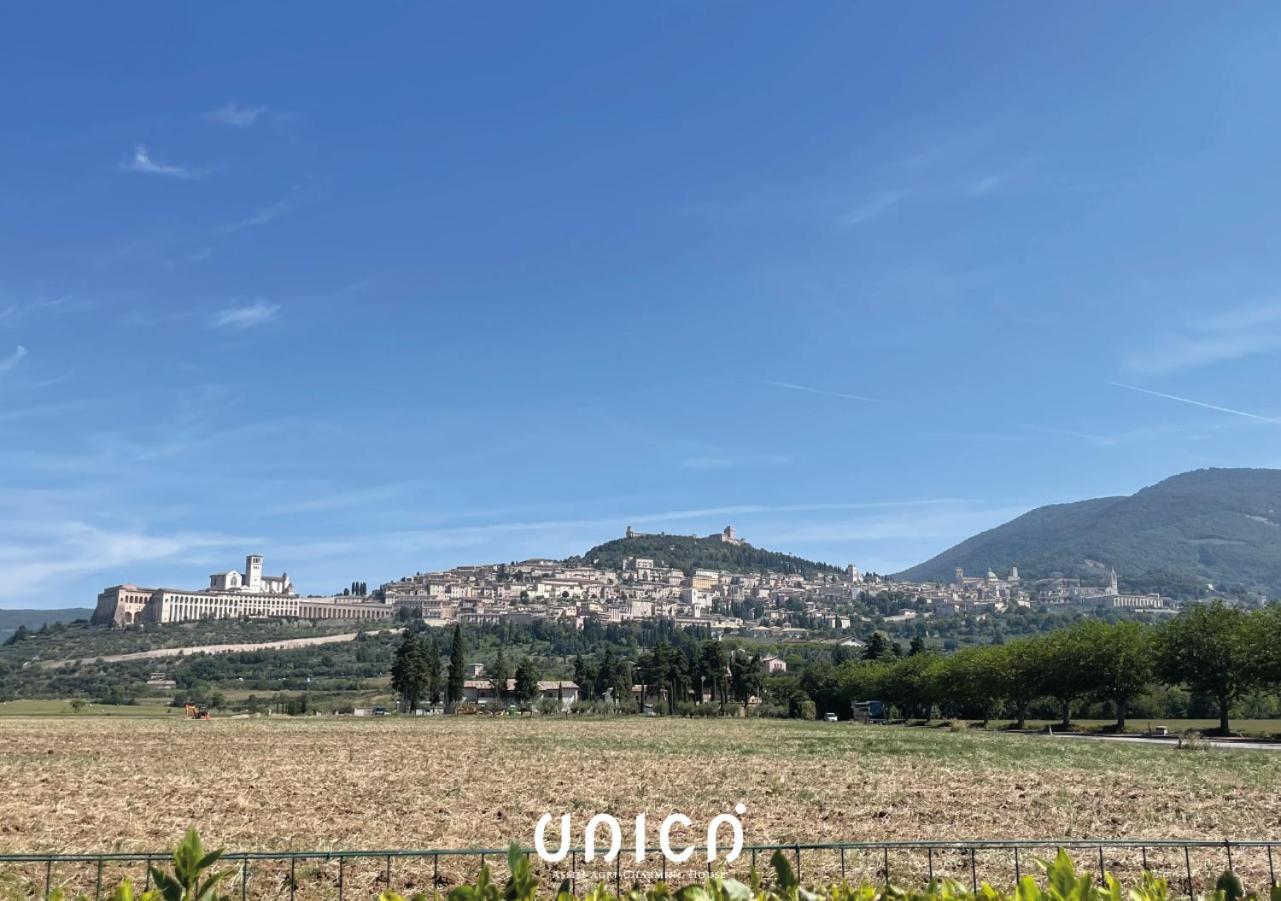 לינה וארוחת בוקר Unica Assisi Agri-Charming House מראה חיצוני תמונה